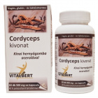 Vitalbert Cordyceps (hernyógomba) kivonat kapszula 60db 