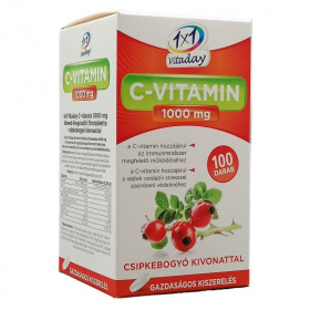 1x1 VitaDay C-vitamin 1000mg csipkebogyós filmtabletta 100db