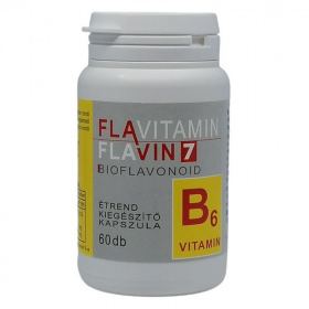 Flavitamin B6-vitamin kapszula 60db