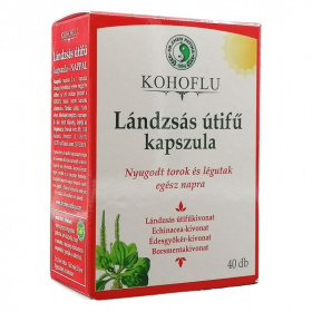 Dr. Chen KOHOFLU lándzsás útifű kapszula - NAPPAL kapszula 40db