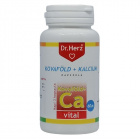 Dr. Herz Kovaföld + Ca + C-vitamin kapszula 60db 