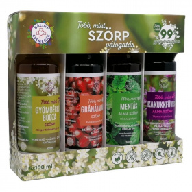 Bálint csemegék Több mint szörp válogatás szirup (zöld, 4x100ml) 4db