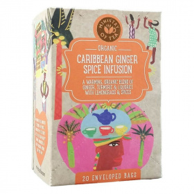 Ministry of tea organic caribbean ginger spice infusion bio tea 35g