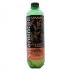 Viwa vitamintea - Black tea (peach) 600ml 